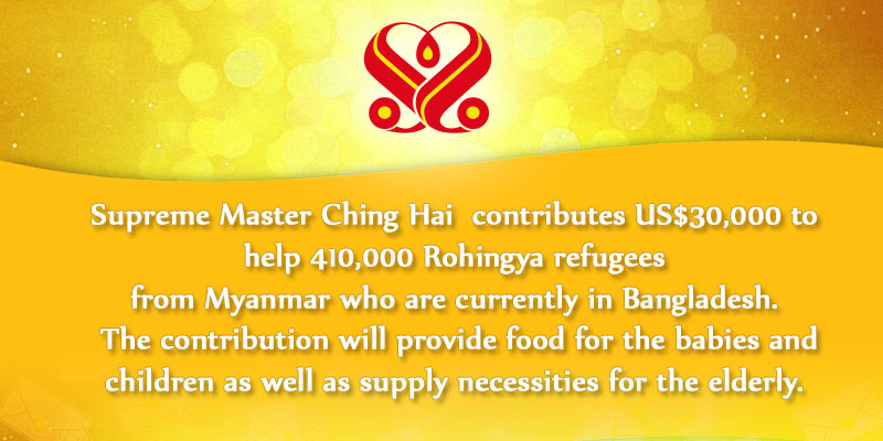 Supporting Rohingya Refugees